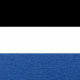 Black/White/Royal 