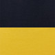 Navy/Gold 
