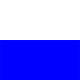 White/Blue 