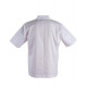 CHEF’S SHORT SLEEVE JACKET CJ02 CHEF’S SHORT SLEEVE JACKET CJ02