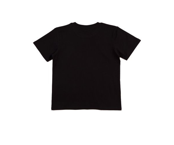 MENS SUPERFIT Tee Shirt TS16 MENS SUPERFIT Tee Shirt TS16