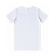 MENS PREMIUM COTTON TEE SHIRT TS41 MENS PREMIUM COTTON TEE SHIRT TS41