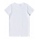 LADIES PREMIUM COTTON TEE SHIRT TS42 LADIES PREMIUM COTTON TEE SHIRT TS42
