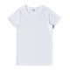 LADIES PREMIUM COTTON TEE SHIRT TS42 LADIES PREMIUM COTTON TEE SHIRT TS42