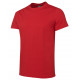 Cotton Fitted Tee Shirt Cotton Fitted Tee Shirt