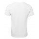 Cotton Fitted Tee Shirt Cotton Fitted Tee Shirt
