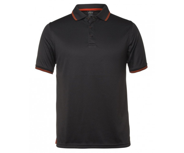 Polo Shirt With Pin Stripe Colar and Sleeves