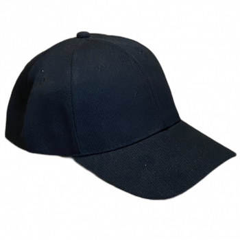 Curved Baseball Caps / Hats