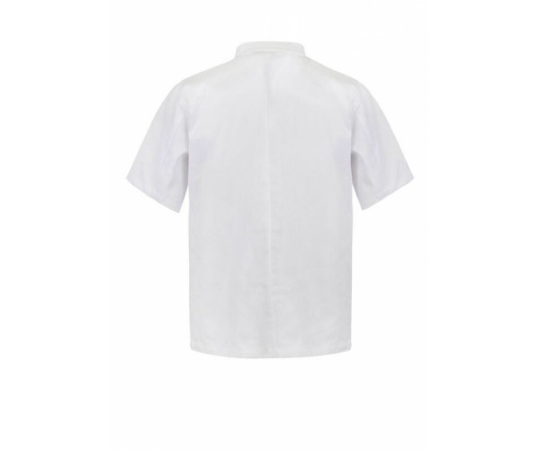 CLASSIC CHEF JACKET- SHORT SLEEVES CJ033 CLASSIC CHEF JACKET- SHORT SLEEVES CJ033