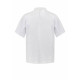 CLASSIC CHEF JACKET- SHORT SLEEVES CJ033 CLASSIC CHEF JACKET- SHORT SLEEVES CJ033