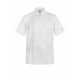 EXECUTIVE CHEFS LIGHTWEIGHT JACKET - SHORT SLEEVE CJ049 EXECUTIVE CHEFS LIGHTWEIGHT JACKET - SHORT SLEEVE CJ049