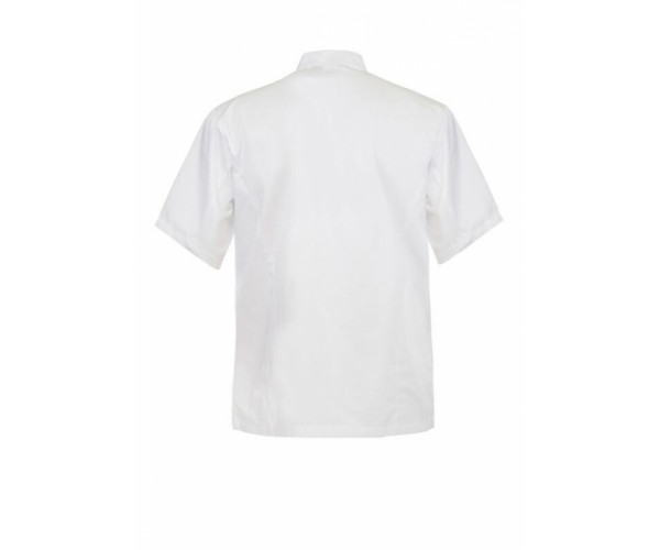 EXECUTIVE CHEFS LIGHTWEIGHT JACKET - SHORT SLEEVE CJ049 EXECUTIVE CHEFS LIGHTWEIGHT JACKET - SHORT SLEEVE CJ049