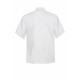 EXECUTIVE CHEFS LIGHTWEIGHT JACKET - SHORT SLEEVE CJ049 EXECUTIVE CHEFS LIGHTWEIGHT JACKET - SHORT SLEEVE CJ049