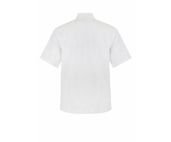 EXECUTIVE CHEFS JACKET WITH PRESS STUDS - SHORT SLEEVE CJ040 EXECUTIVE CHEFS JACKET WITH PRESS STUDS - SHORT SLEEVE CJ040