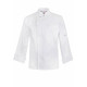 EXECUTIVE CHEFS JACKET - SHORT SLEEVES CJ035 EXECUTIVE CHEFS JACKET - SHORT SLEEVES CJ035