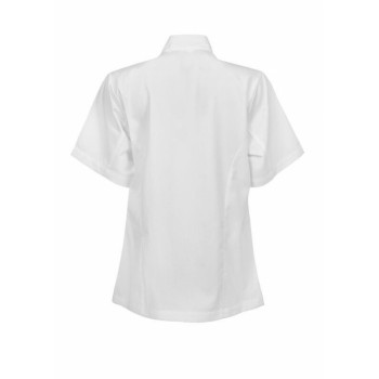 Ladies Executive Chefs Lightweight Jacket - Short Sleeve Cjl22