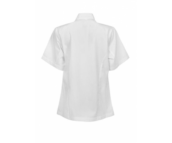 LADIES EXECUTIVE CHEFS LIGHTWEIGHT JACKET - SHORT SLEEVE CJL22 LADIES EXECUTIVE CHEFS LIGHTWEIGHT JACKET - SHORT SLEEVE CJL22
