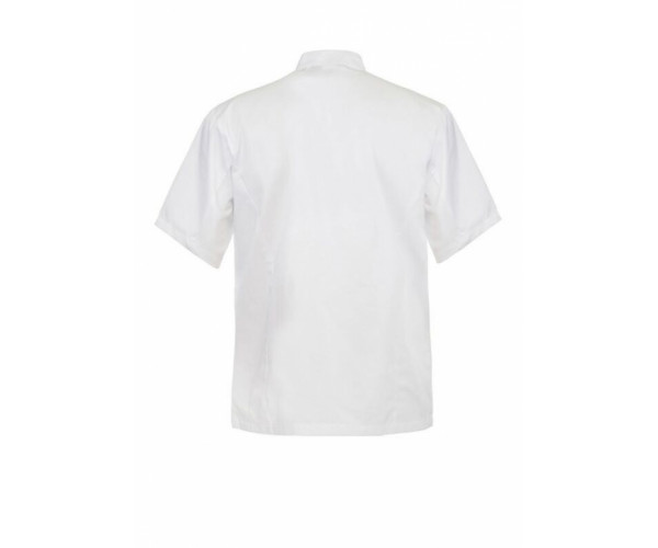 EXECUTIVE CHEF JACKET SHORT SLEEVES LIGHT - CJ052 EXECUTIVE CHEF JACKET SHORT SLEEVES LIGHT - CJ052