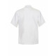 EXECUTIVE CHEF JACKET SHORT SLEEVES LIGHT - CJ052 EXECUTIVE CHEF JACKET SHORT SLEEVES LIGHT - CJ052