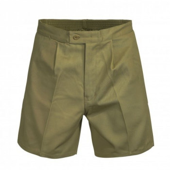 Cargo Cotton Drill Shorts